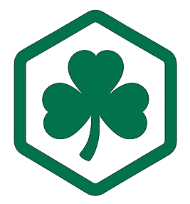 CasinoInIreland.com Logo